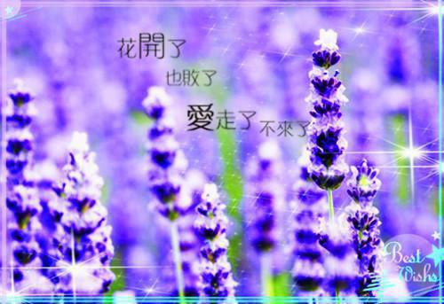 许知然贺叙安孟舒窈小说免费阅读全文 踏遍人间风雪未删减小说