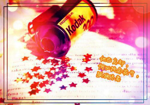 把我丢在雪山后，他们悔疯了（陆允年宋哲远）最新章节列表_把我丢在雪山后，他们悔疯了（陆允年宋哲远）全文在线阅读