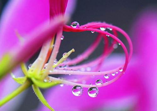 南音沈叙珩：+后续（沈叙珩南音）全文免费阅读无弹窗大结局_南音沈叙珩：+后续沈叙珩南音最新章节列表_笔趣阁（沈叙珩南音）