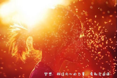 沈秋影沈婕薄锦言是哪部小说 心似还旧影:番外小说全文阅读