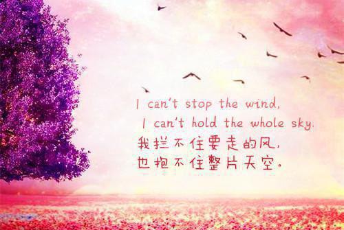 江似月顾凛川江青瑶大结局后续 江似月顾凛川免费阅读全文