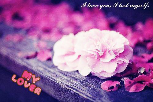 黎清如陆潜岳笔趣阁 暮色尽头等黎明全文阅读