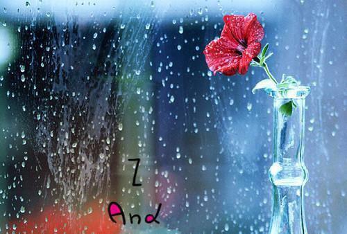 赵宝赵启航秦雨薇小说结局 重生之我妈是恋爱脑把我当情敌赵宝赵启航秦雨薇小说