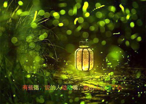 宁湘云商野顾安免费阅读最新章节 谁愿与你重蹈覆辙小说宁湘云商野顾安免费阅读