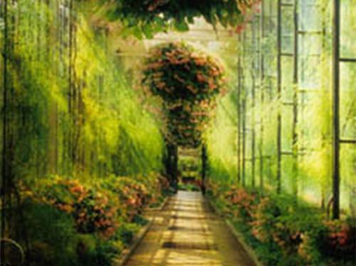 (番外)+(全文)谢临风梁明昭：+番外(梁明昭沈砚卿谢临风 )小说最新列表_谢临风梁明昭：+番外(梁明昭沈砚卿谢临风 )全文阅读无弹窗