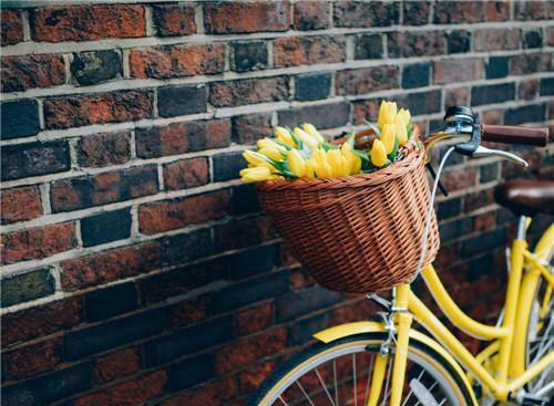 全本关芷薄修霖:全文+后续+结局(沈叶菱陆惊野)免费阅读无弹窗_全本关芷薄修霖:全文+后续+结局