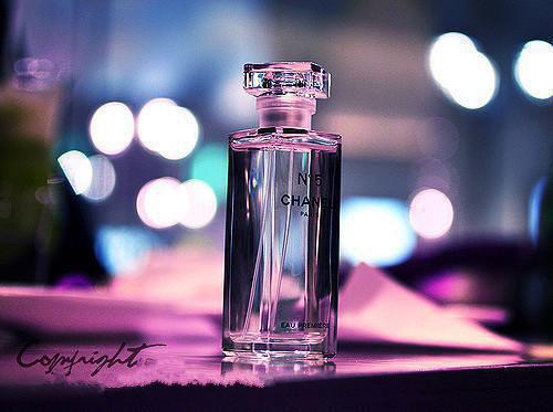 宋妃萧玦笔趣阁免费阅读 为暴君诞下子嗣后,皇朝震荡了男主宋妃萧玦小说