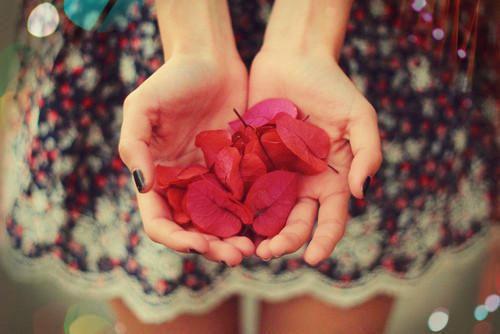 念七安段月汐笔趣阁 社恐绝世美男子网恋失败后：后续免费阅读念七安段月汐小说