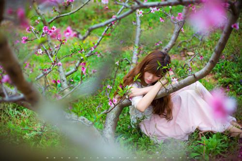 苏知意司夜寒季瑶最新章节更新状态 风停后无人归小说最新章节列表