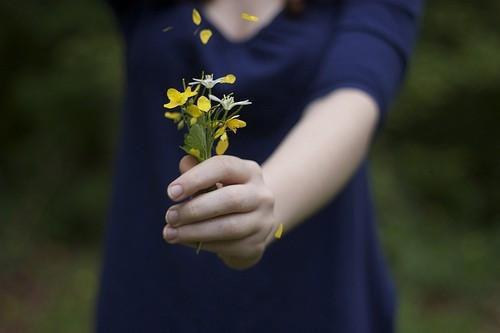 叶繁星贺淮臣免费阅读最新章节结局 叶繁星贺淮臣：后续未删减小说