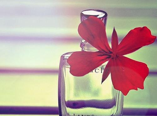 唐宣沈落阳许云月免费阅读最新章节 转身离开后，他双手奉上一切唐宣沈落阳许云月全文