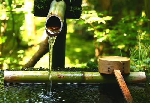 小康最新章节更新 重生后，我用一车见手青为父亲报仇小康小说