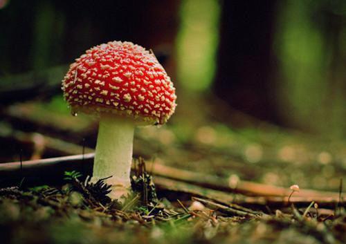 此生难续旧时约:全文+结局+番外(温舒慈谢景辞)最新章节列表_此生难续旧时约:全文+结局+番外全文阅读