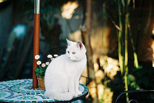 最新章节我的婚房，我的原生家庭修罗场（姜鸢梨沈尘）_我的婚房，我的原生家庭修罗场姜鸢梨沈尘最新章节