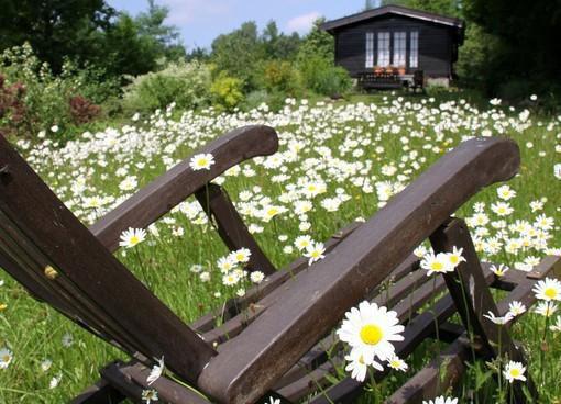 乔晚宁霍商蔚蓝小说笔趣阁最新章节 前度完整版