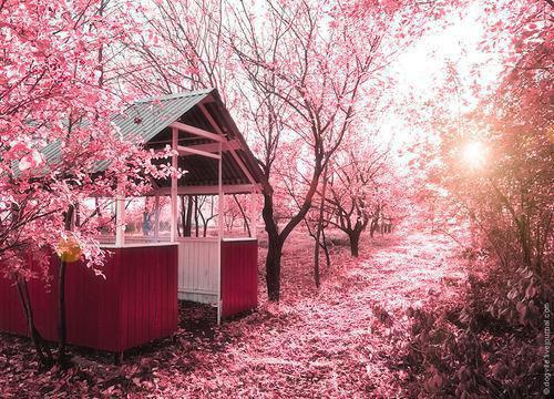 叶清清厉砚修小说笔趣阁最新章节 二版《爱别八零,外交官夫人要离婚》叶清清 厉砚修免费阅读小说