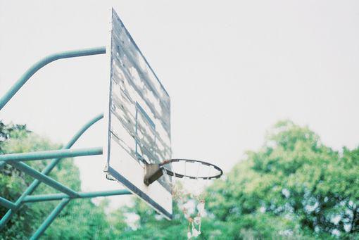 陆鹤归温伊珞是哪部小说 爱你爱到一无所有陆鹤归温伊珞全文