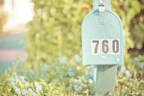 林晚棠箫瑾晏沈嘉柔免费阅读 将军娶白月光为平妻，我反手送他下地狱笔趣阁