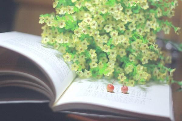 许蓁周傅珩最新章节更新 爱于迟暮时消散（佚名）免费阅读