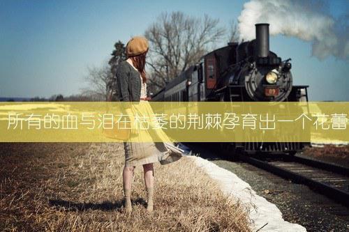 顾时苒徐浩小说叫什么 做分手专家的第三年,我接到了妻子的订单结局