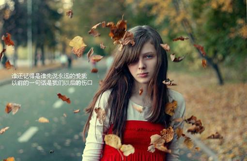 宋倾季昂笔趣阁免费阅读 分手三年，全网磕起我们的过期糖男主宋倾季昂小说