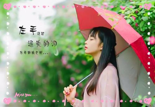 容瑾戈沈栖月免费阅读最新章节 沈栖月容瑾戈结局