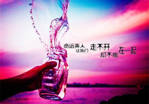 盛枝纪淮野江寒霆小说在线阅读 合租的黑客大佬是病娇:后续免费阅读小说