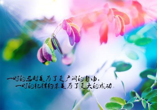 完结文听不见的声音最新章节列表_完结文听不见的声音全文免费阅读(笑笑景泽亦)