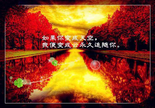 于甜甜齐澈最新章节更新状态 兰灵误认在线阅读