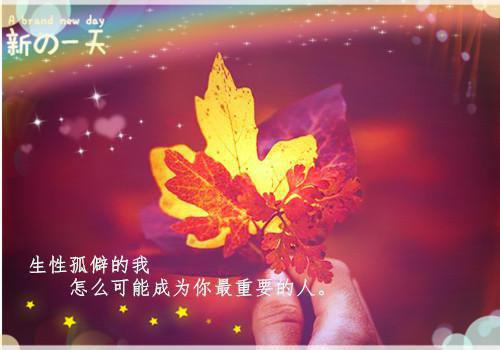 七零，穿成绝嗣首长家独苗的亲妈（江清疏林昱森）最新推荐_最新推荐七零，穿成绝嗣首长家独苗的亲妈（江清疏林昱森）