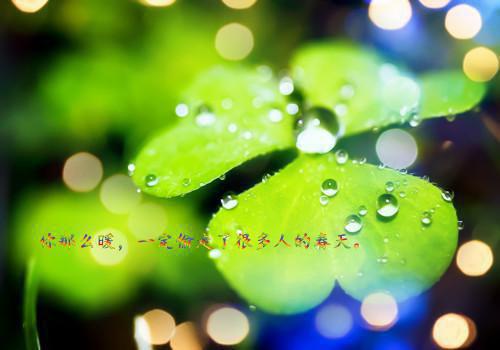 裴叙小说在线阅读 成为豪门真少爷后，我把豪门端了在线阅读