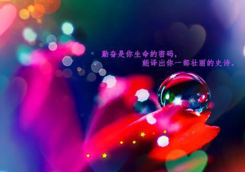 桑榆沈聿舟周窈窈最新章节更新 忆莺飞草长全文阅读