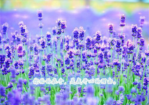 顾言城宋北乔是哪部小说 老婆给烈士遗孤献血后，我大闹军区要离婚知乎顾言城宋北乔