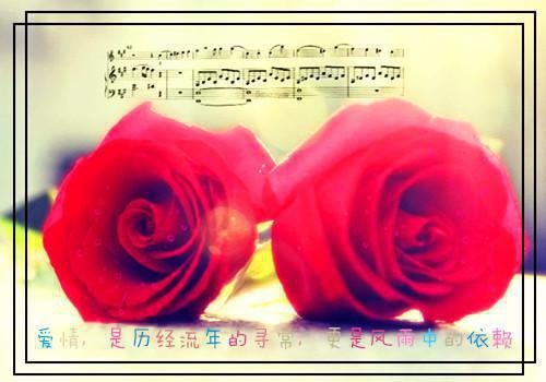 盛枝纪淮野江寒霆小说免费阅读最新章节 合租的黑客大佬是病娇:后续小说