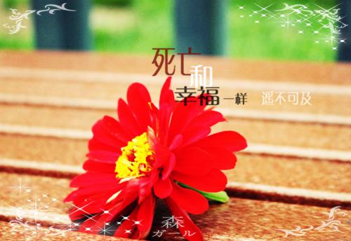 苏芷淼淼小说结局 爱好雌竞的我妈，要给女儿配冥婚：后续苏芷淼淼全文