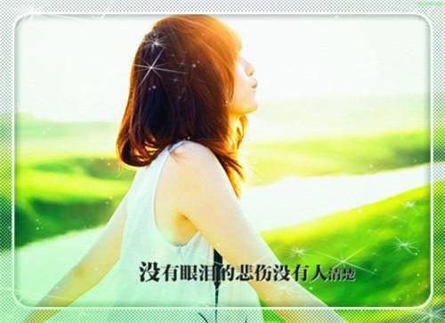 苏瑾妍谢忱叫什么小说 所望皆星月知乎苏瑾妍谢忱