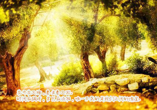 牡丹仙子牧野明玉帝姬叫什么小说 战神迷上妖娆帝姬，我找魔王生子他却悔疯小说免费阅读全文最新章节