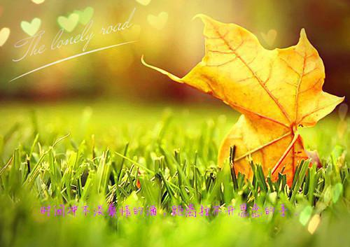 江菁笔趣阁免费阅读 只因一碗丝瓜汤,我直接断亲小说正版免费阅读