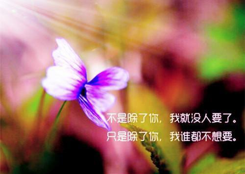 《乔书亦顾驰聿》免费完整版在线阅读【连载】