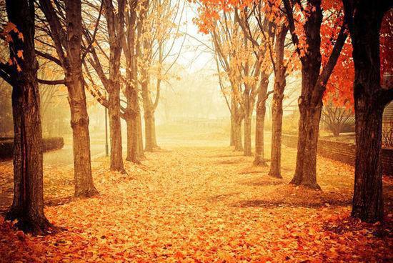 牧槿小说免费阅读最新章节 替花小说免费阅读全文最新章节