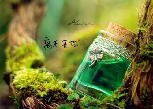 周芙蕖慕泾川宋静慈最新章节更新时间 锈蚀爱恨叩凡心（某生）免费阅读