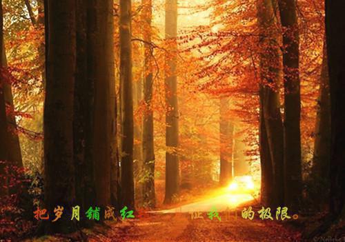 舒以宁解连城舒晚樱最新章节内容 回首烟波俱渺然（佚名）免费阅读