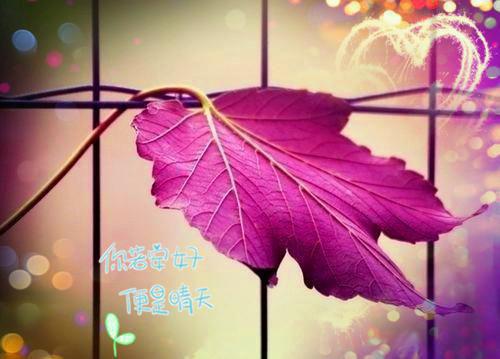 周沐颜江景舟宋野的最新章节更新时间 恩情不负唯负深情免费阅读小说