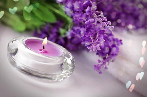 容瑾戈沈栖月小说免费阅读 沈栖月容瑾戈全文免费阅读