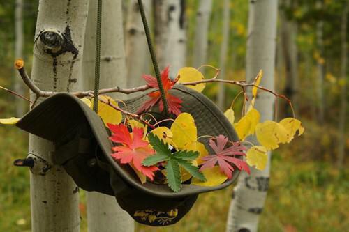 朱栏褪色忆当年:+后续+结局(洛鸢祁漠)最新章节列表_朱栏褪色忆当年:+后续+结局全文阅读洛鸢祁漠
