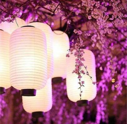 薛云清许亦宸许绵绵沈洛川小说叫什么名字 闺蜜抢我竹马男友，我转身睡了她哥完整版