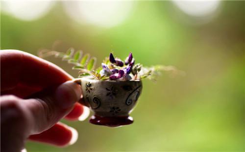 沈意安陆时延沈果果叫什么小说 沈意安陆时延知乎沈意安陆时延沈果果