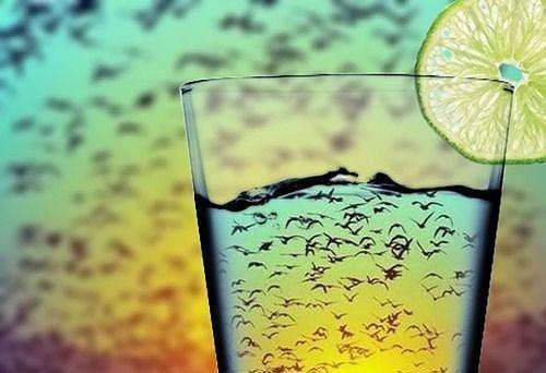 江颂傅月笙张时絮小说免费阅读全文 爱情自有天意免费阅读小说