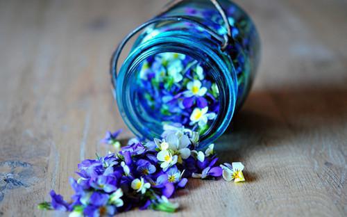 周沐瑶傅皓谦小说叫什么名字 周沐瑶傅皓谦全文最新更新内容