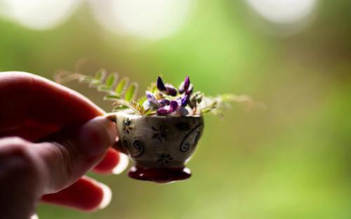 虞诺周聿琛许佳宜是哪部小说 虞诺周聿琛：完整最新章节免费阅读